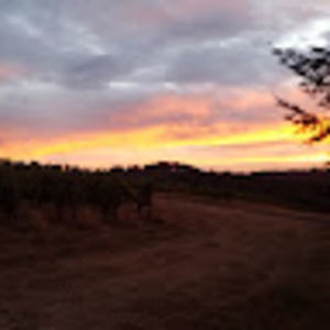 Meet your Posher, Summer